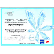 sertificate-Strizhneva-SU