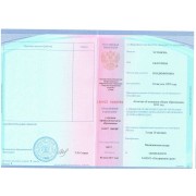 Устинова ЕВ. Диплом приложение
