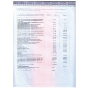 Приложение к Диплому ОРДИНАТУРА 2021_page-0002