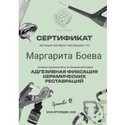 Адгезивная фиксация