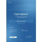 Сертификат на участие в вебинаре Ильи Склярова
