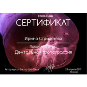 СИЮ - Щербаков - 2017 - сертификат - фотография