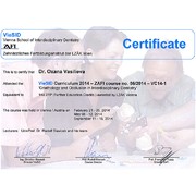 ВОА - VieSID - 2014 - сертификат - гнатология